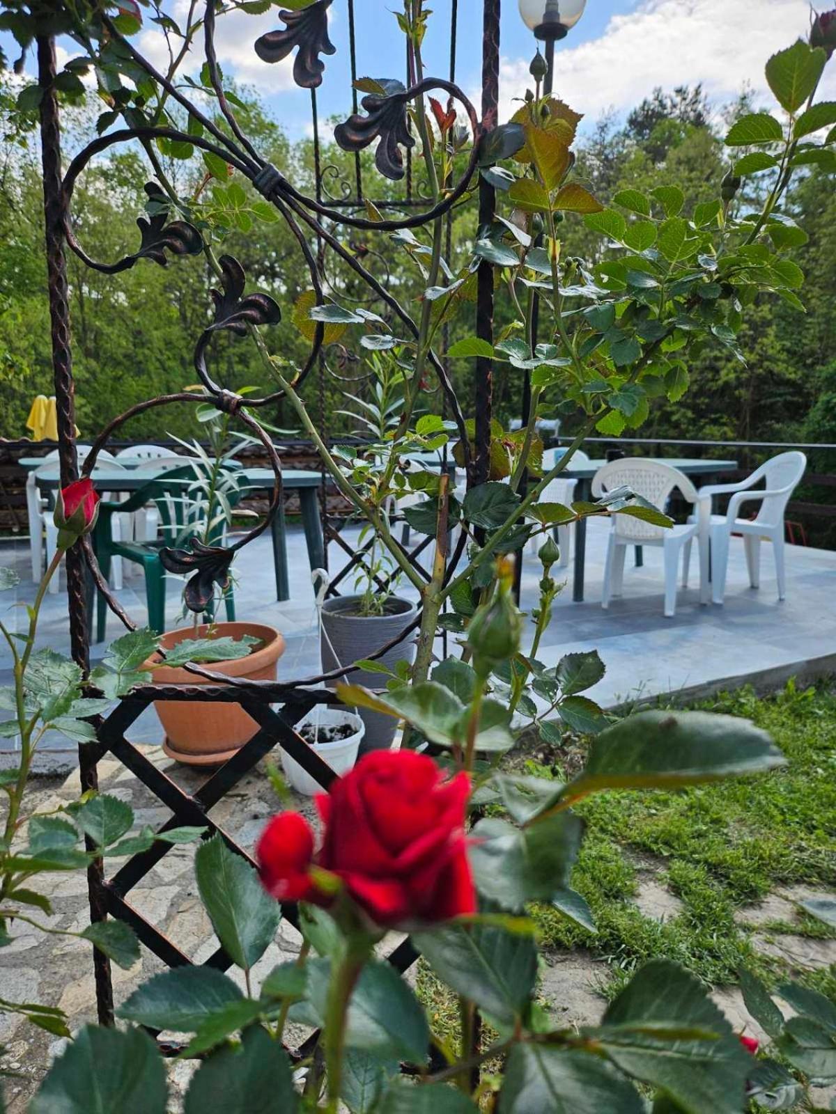 Orehite-Family Hotel ,Food & Pool Bozhichen Bagian luar foto