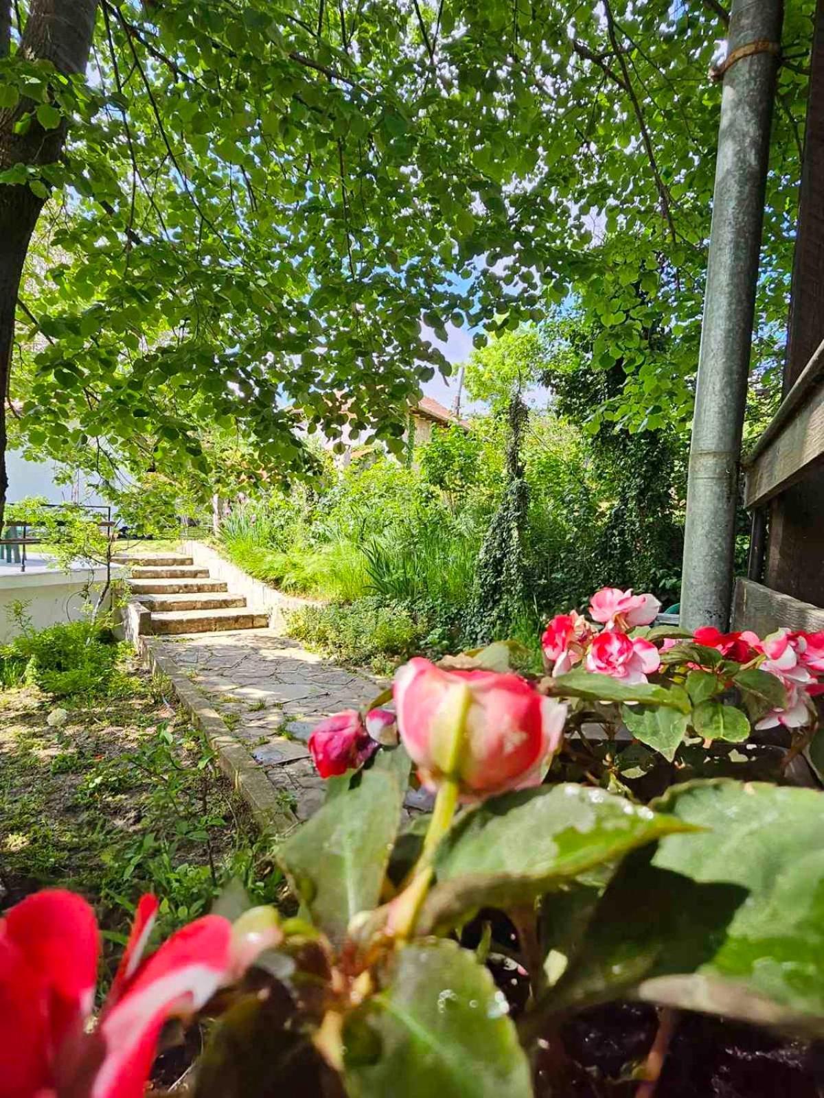Orehite-Family Hotel ,Food & Pool Bozhichen Bagian luar foto
